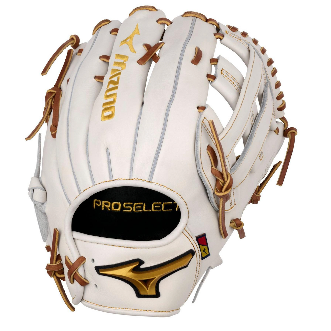 1_f.space Light glove ミヤビ、Dカンセット Mizuno Pro Select 12.5