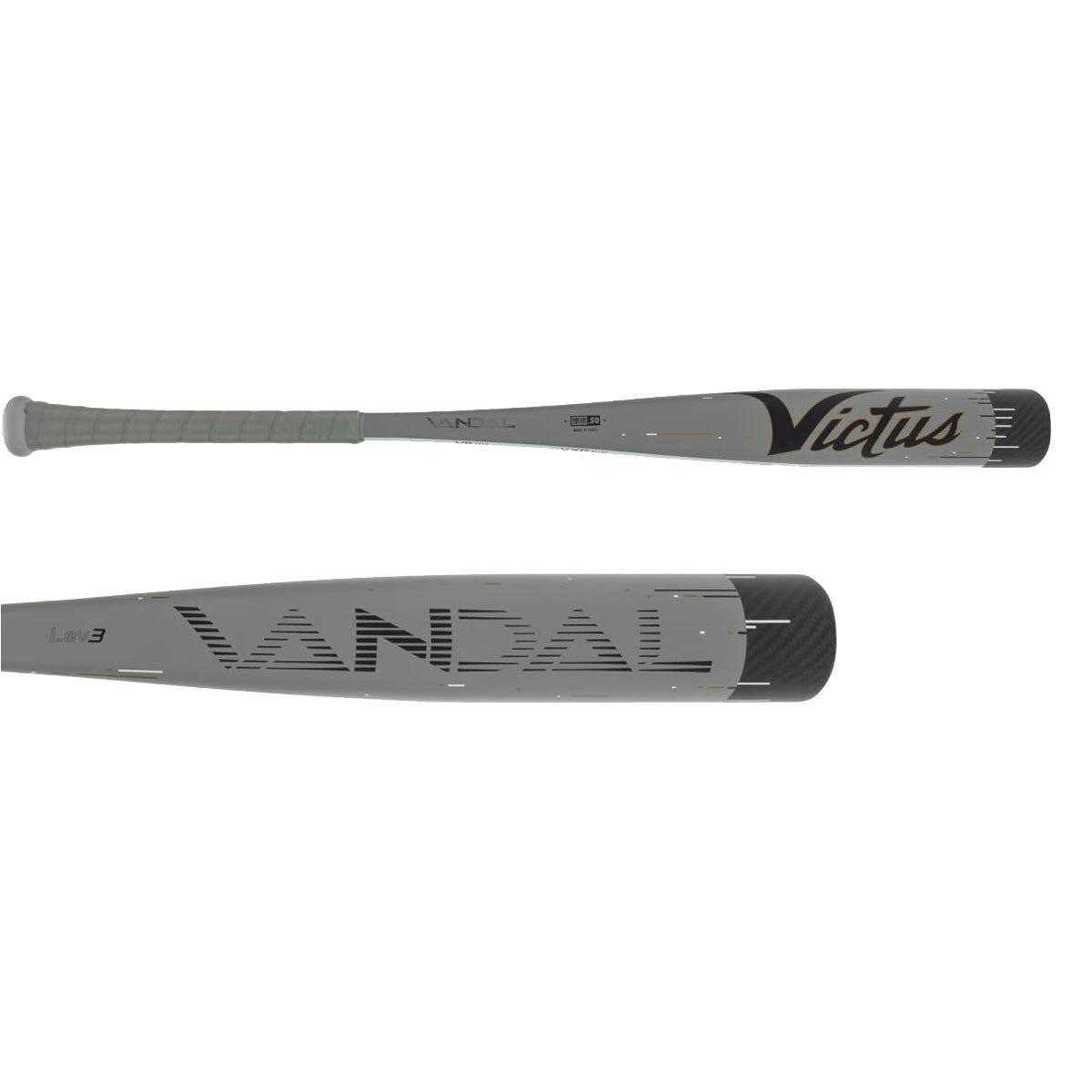 サンスベリア hallii ‘Baseball Bat’ v A サンスベリア hallii 'Baseball Bat' v A サンスベリア hallii