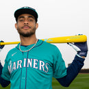 2026 Victus Julio Rodriguez Pro Reserve Wood Baseball Bat - VRWMJROD-YL/CB