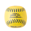 Savanah Bananas 10" Glove and Bat Youth Starter Kit - WBW10410410